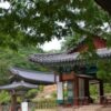 仁祖（インジョ）は復讐の鬼と化した／朝鮮王朝人物実録４
